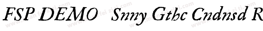 FSP DEMO   Snny Gthc Cndnsd Regula字体转换